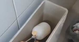 Polícia Civil prende em Pombal acusado de assaltos, e encontra arma dentro de banheiro